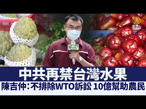 中共再禁水果 台湾表示不排除WTO诉讼