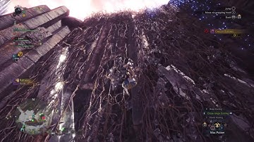 Vaal Hazak bow closed range coatings+minds eye