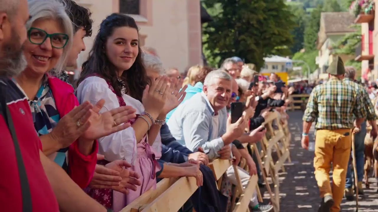 La Desmontegada delle Caore di Cavalese