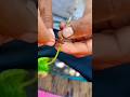 Cara mereka menyambung pucuk tanaman kopi #farming #agrikultur #teknikpertanian #agriculture #nature