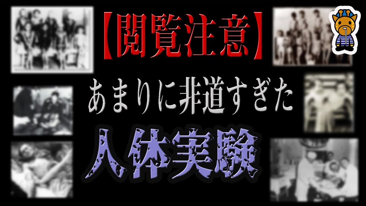 内容にご注意ください 人体実験 Youtube