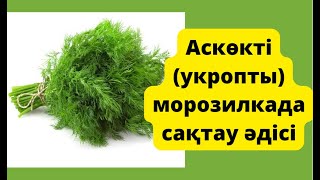 УКРОПТЫ (Аскөк) МОРОЗИЛКАДА САҚТАУ ӘДІСІ.