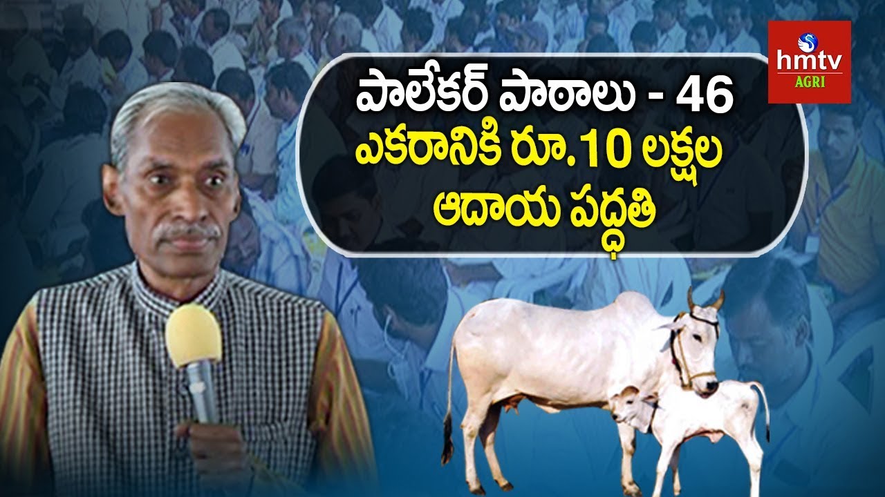 ఎకరానికి రూ.10 లక్షల ఆదాయ పద్ధతి | Subhash Palekar Lessons #46 | hmtv Agri