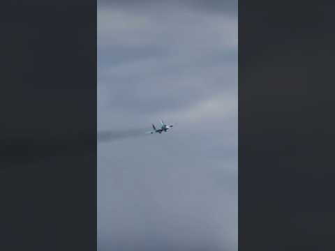 Su-33 Breaks Through Warship Defenses !! #highlights #military #game #aviation # #fighterjet #short