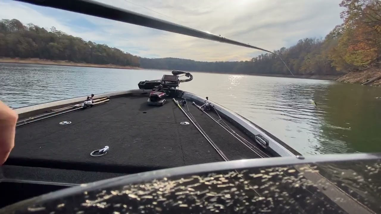 Fall time bass fishing on Norris lake.