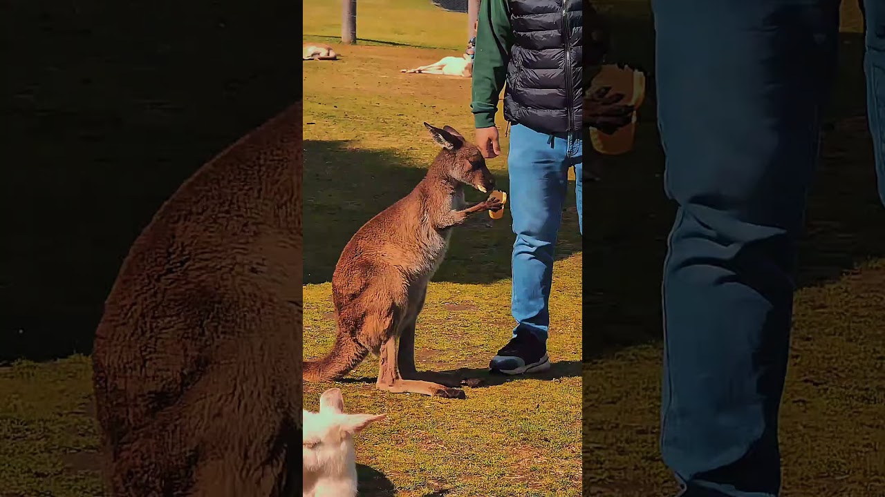 Private day tours from Sydney 