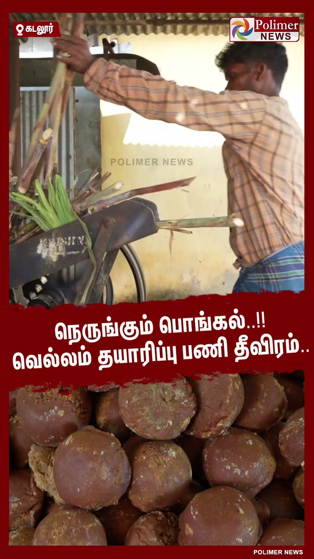 நெருங்கும் பொங்கல்..!! வெல்லம் தயாரிப்பு பணி தீவிரம்..#shorts