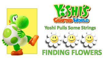 Yoshi