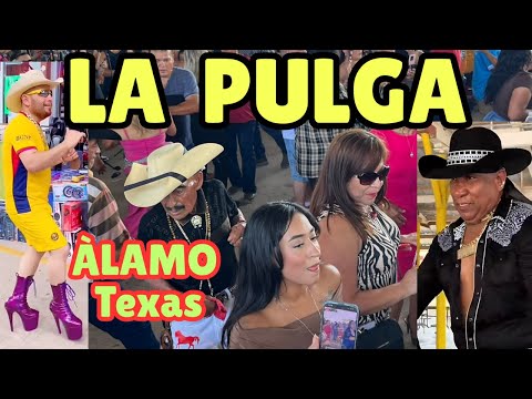 La Pulga Más Visitada del Valle – Álamo Texas