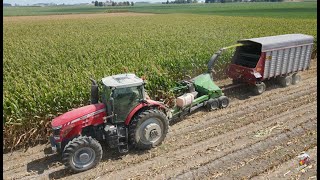 Chopping Corn Silage & Filling Silo with Massey Ferguson Tractors