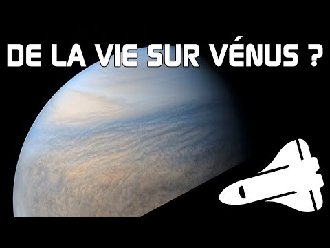 Vidéo: Pourrait-il y avoir des fossiles sur Vénus ?