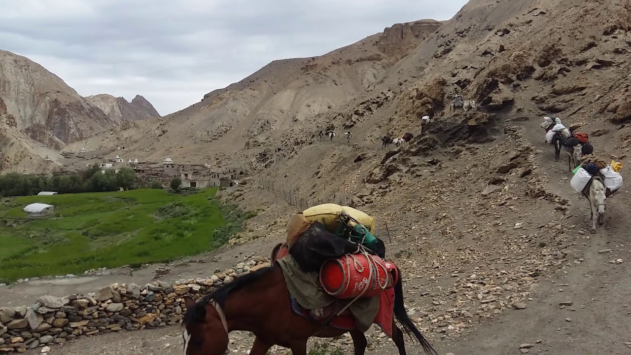 Black yak expeditions Ladakh Markha Valley Trek