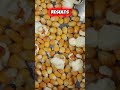 Why Some Popcorn Kernels Don’t Pop 🍿 #shorts