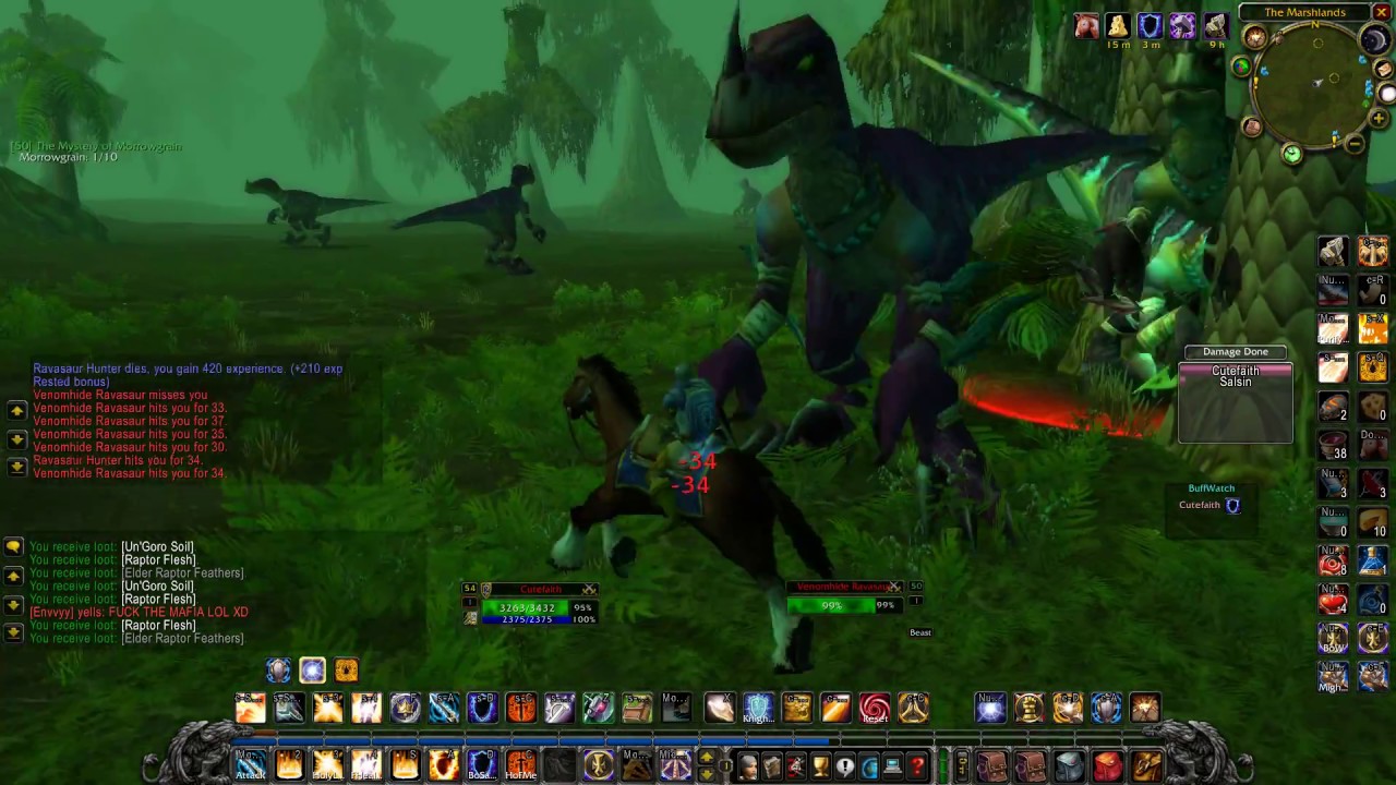 Classic Vanilla WoW Protection Paladin AoE Leveling In UnGoro YouTube