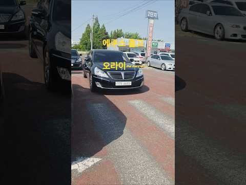 에쿠스 출고 오라이~ #중고차시온파파 #에쿠스중고 #shorts