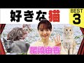 【尾崎由香】猫の話してたら超上機嫌になりました【猫好き声優】