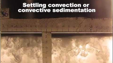 Convective sedimentation