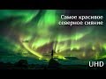 Самое красивое северное сияние в UHD качестве!