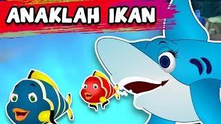 Anaklah Ikan  Lagu Kanakkanak Malaysia Popular  Pengumpulan 15 Min  Lagu Kanak Tv