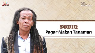 Sodiq - Pagar Makan Tanaman