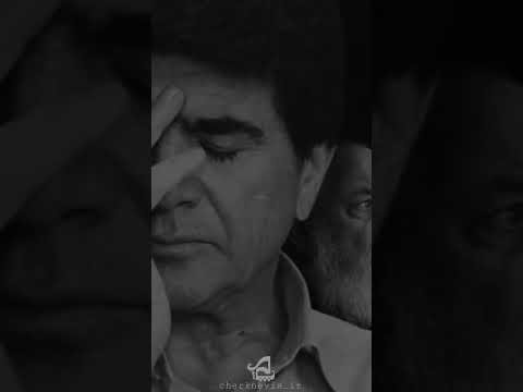 سایه و ابوعطای استاد شجریان   شجریان استاد شجریان استاد محمدرضا شجریان