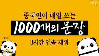 생활 중국어 회화 1000문장 | 3시간 흘려듣기 | 중따랑 1~32편 통합본 | #기초중국어 #중국어회화 #중국어공부