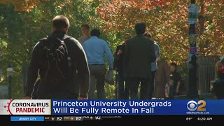 Princeton University Announces All Undergraduate Classes Will Be Online During Fall Semester
