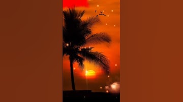 من روائع التلاوة(  وانه لتنزيل رب العالمين نزل به الروح الامين )  #قرآن_كريم_راحة #اكسبلور #explore