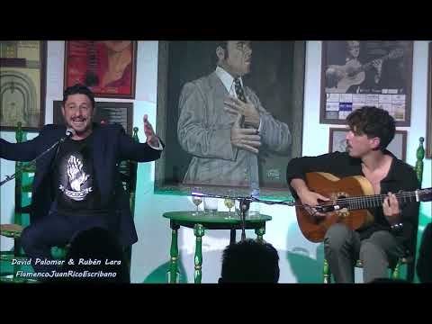David Palomar y Rubén Lara - Bulerías