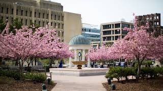 The George Washington University School of Business Live Stream