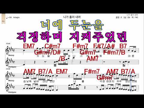 니가흘러내려  이승철  가수처럼 남 원키  E