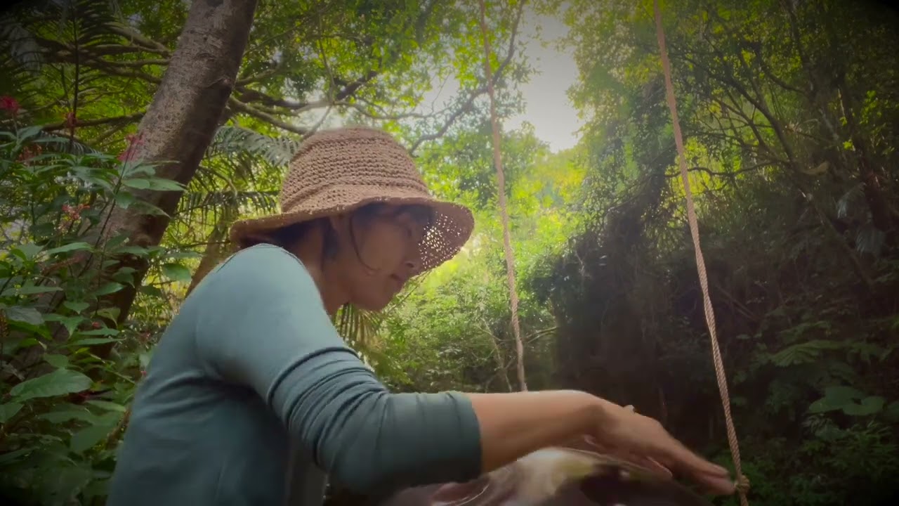 🌿 Greetings from ヤンバル/Okinawa