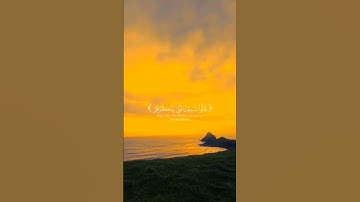 ياسر الدوسري | سورة الأنبياء [59 - 61 ]