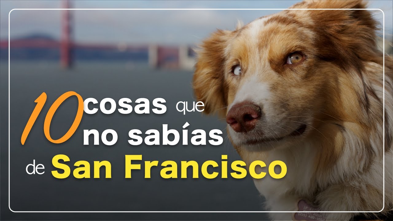 10 COSAS que NO SABÍAS de SAN FRANCISCO | CALIFORNIA