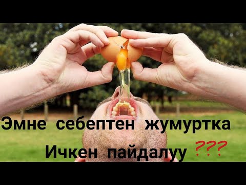 Video: Жумурткада пайдалуу нерсе: ак же сарысы