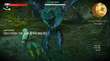 The Witcher 3 Next-Gen PS5 Full Game Part 8 no commentary