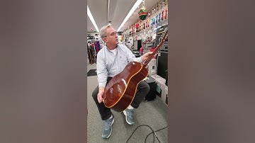 Victor litz music guild f212 12 string 1960s