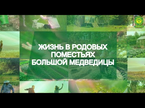 Жизнь в родовых поместьях "Большой медведицы"