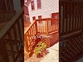 FRESH DECK STAIN