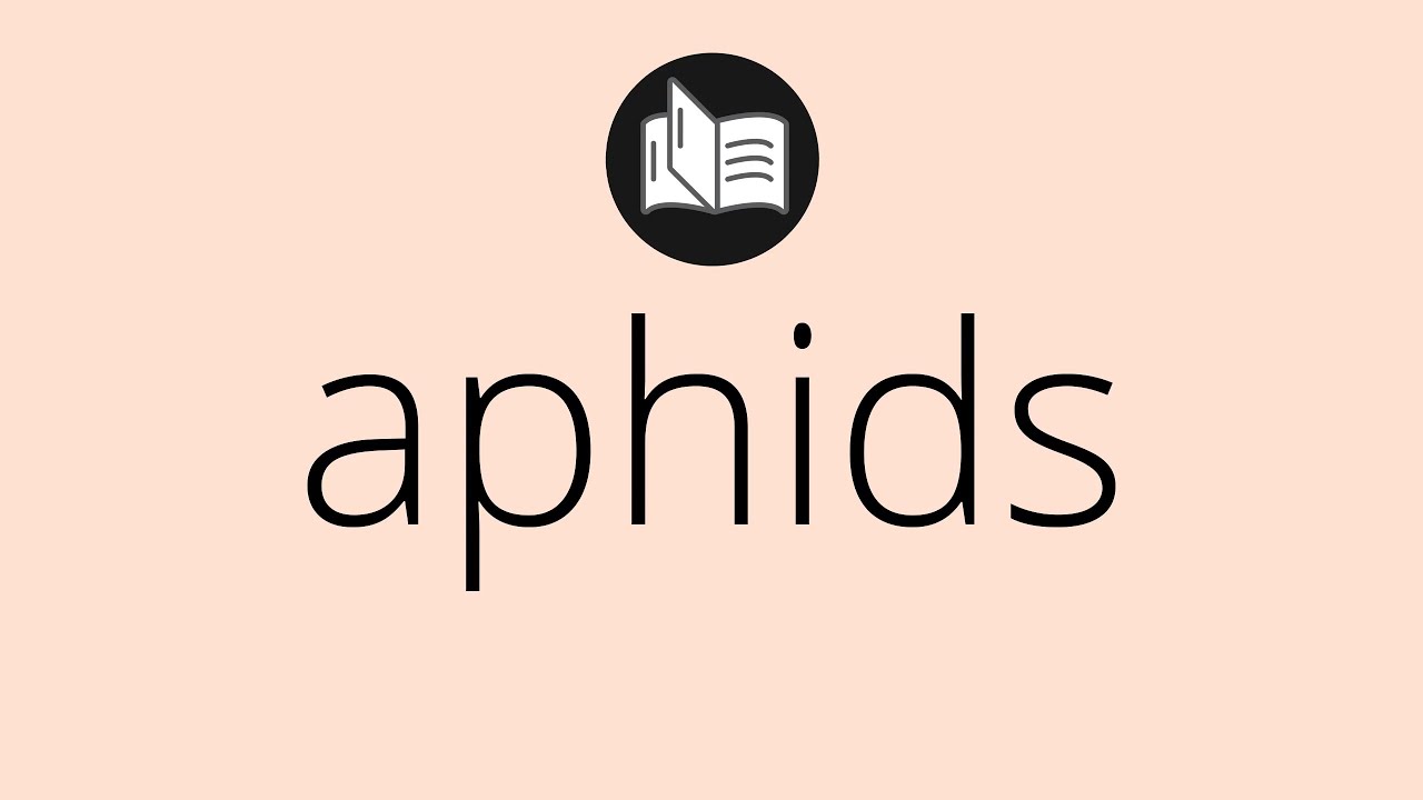 What APHIDS means • Meaning of APHIDS • aphids MEANING • aphids DEFINITION