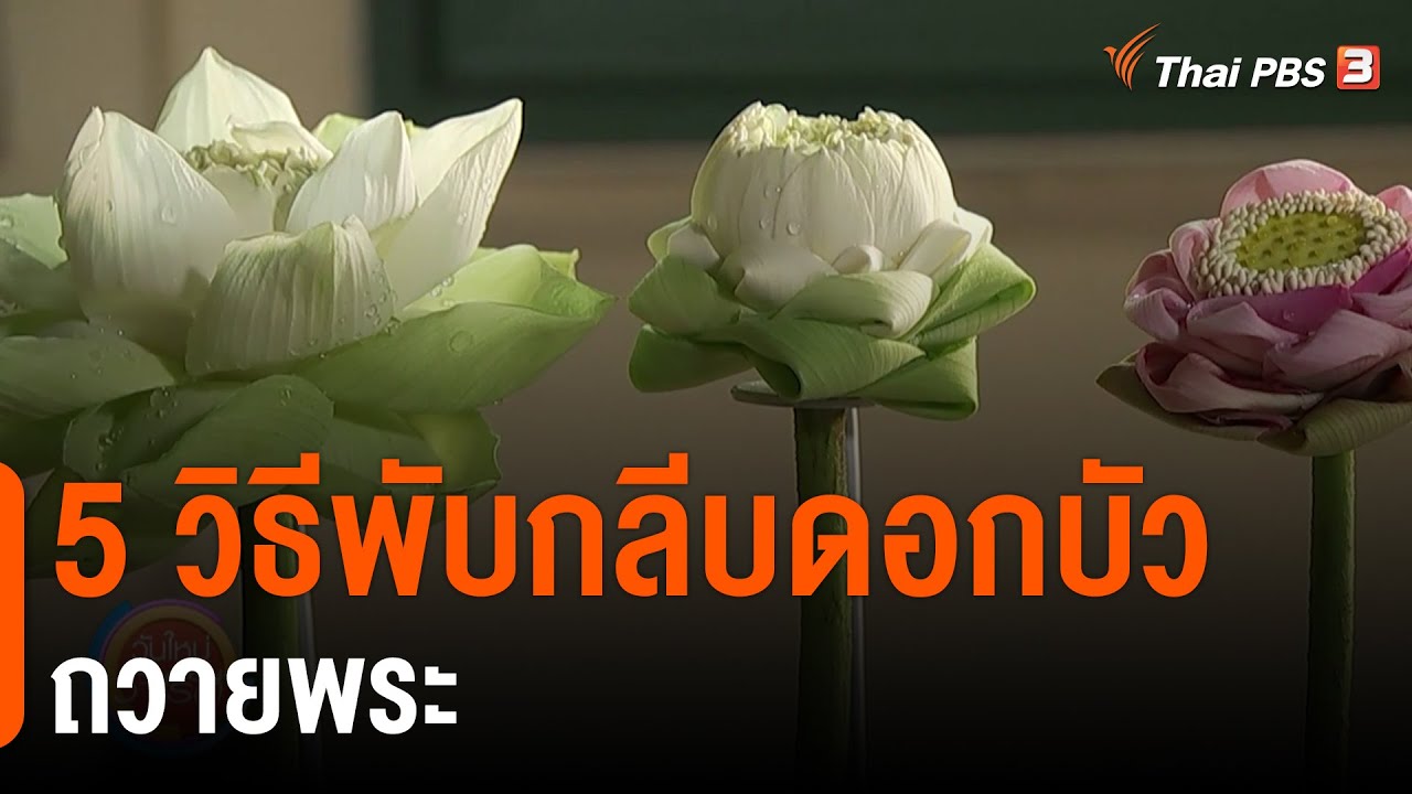 5 วิธีพับกลีบดอกบัวถวายพระ : วันใหม่วาไรตี้วันหยุด (26 ก.พ. 64)