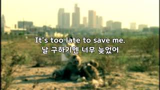   Sum 41  Walking Disaster