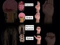 Mudra Magic #yoga #mudra #wellness #faceyoga #haircare #weightloss #soul #me #life #lifestyle #om