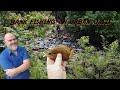 Delta Safari: New Spot on 3 mile Creek | Fishing | Redbreast | Carp | Bowfin