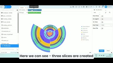 Rose & Radial Bar Charts Usage