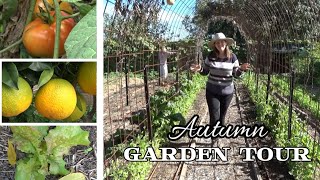 Autumn vegetable garden tour 2024 | What's growing in the garden now | Growing veggies out of season