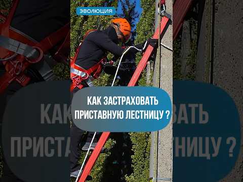 Как не упасть с приставной лестницы ? #защита #работанавысоте #сиз #безопасность #падение #работа