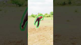 BSK TIGER 🐯 fail flip 😭😭#trending #viral #amazing #stunts #flips #shortvideo