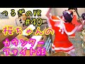 第40回つるぎのVR実況カウンターファイトSE