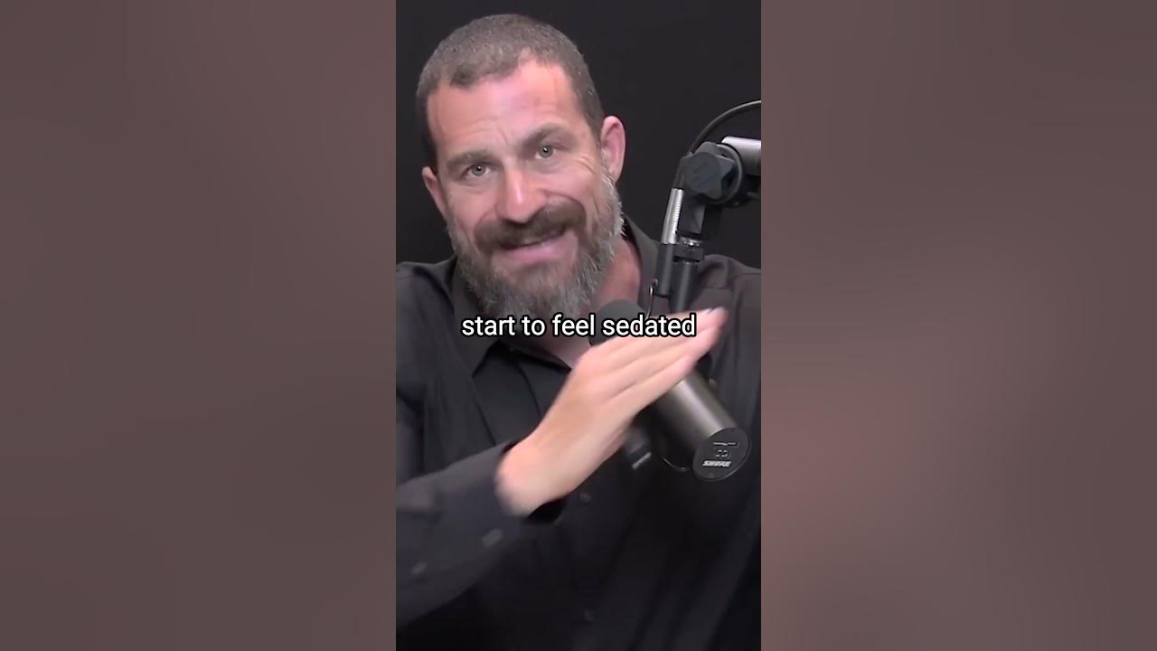 The effects of alcohol on the brain Andrew Huberman hubermanlab 